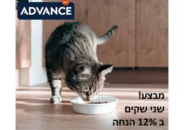 מבצע! 2 שקי אדוונס לחתול ב 12% הנחה