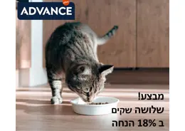 מבצע! 3 שקי אדוונס לחתול ב 18% הנחה