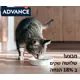 מבצע! 3 שקי אדוונס לחתול ב 18% הנחה