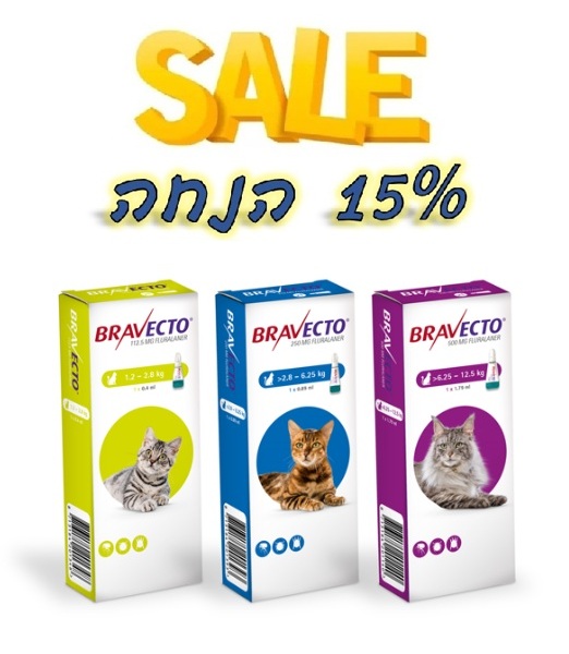 ברבקטו חתול ספוט און
