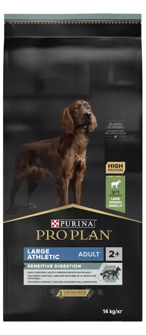 פרו פלאן פורינה כלב בוגר מגזע גדול כבש