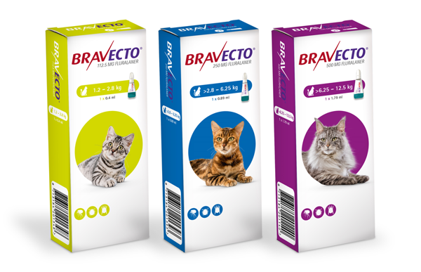 Bravecto ספוט און - טיפול בפרעושים וקרציות לחתולים