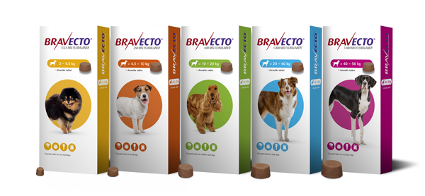 Bravecto טבליה - טיפול בפרעושים וקרציות לכלבים