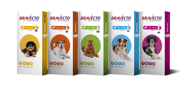 Bravecto ספוט און - טיפול בפרעושים וקרציות לכלבים