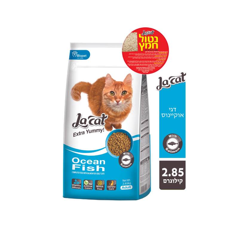 לה קט דגים - נטול חמץ