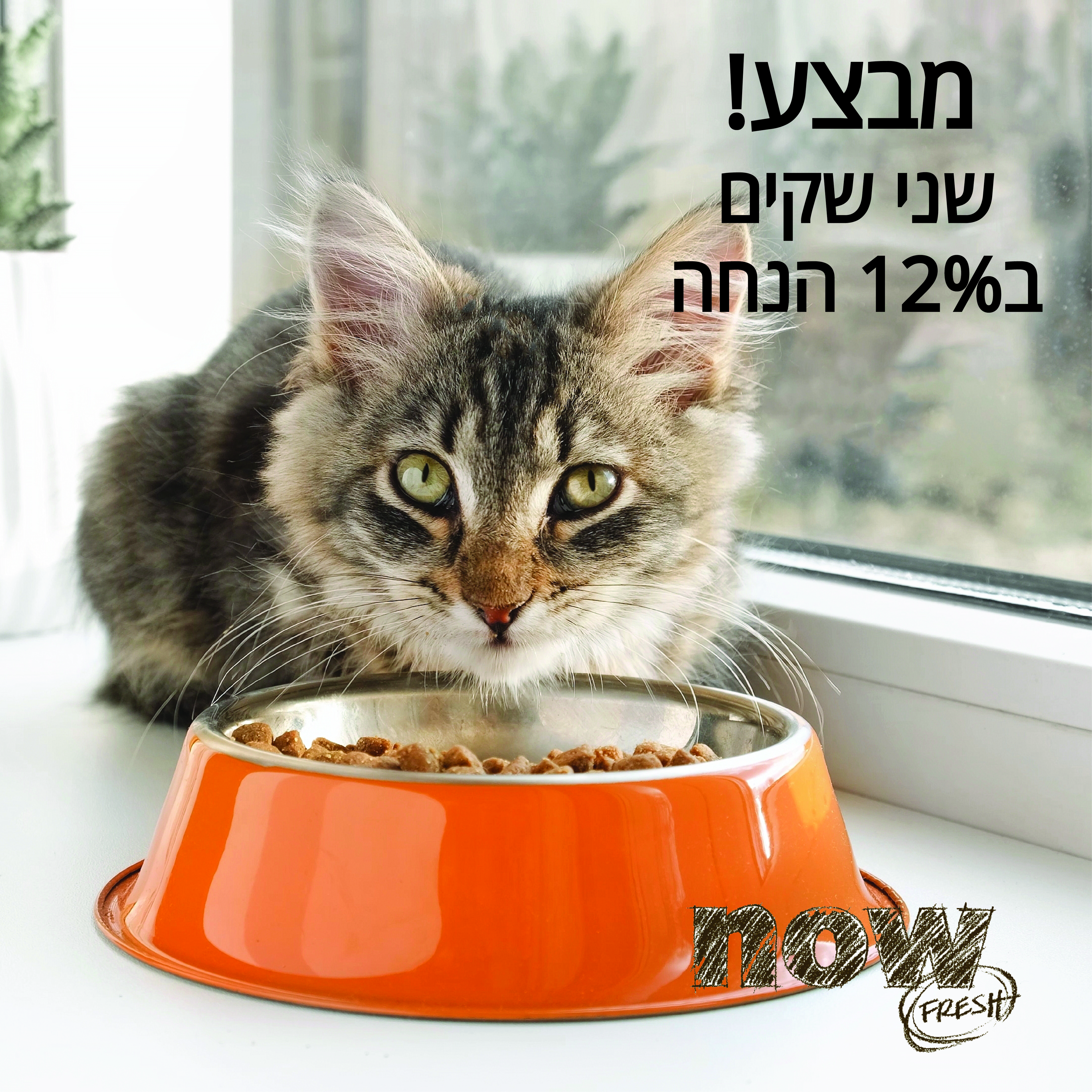 מבצע! 2 שקי נאו לחתול ב-12% הנחה!