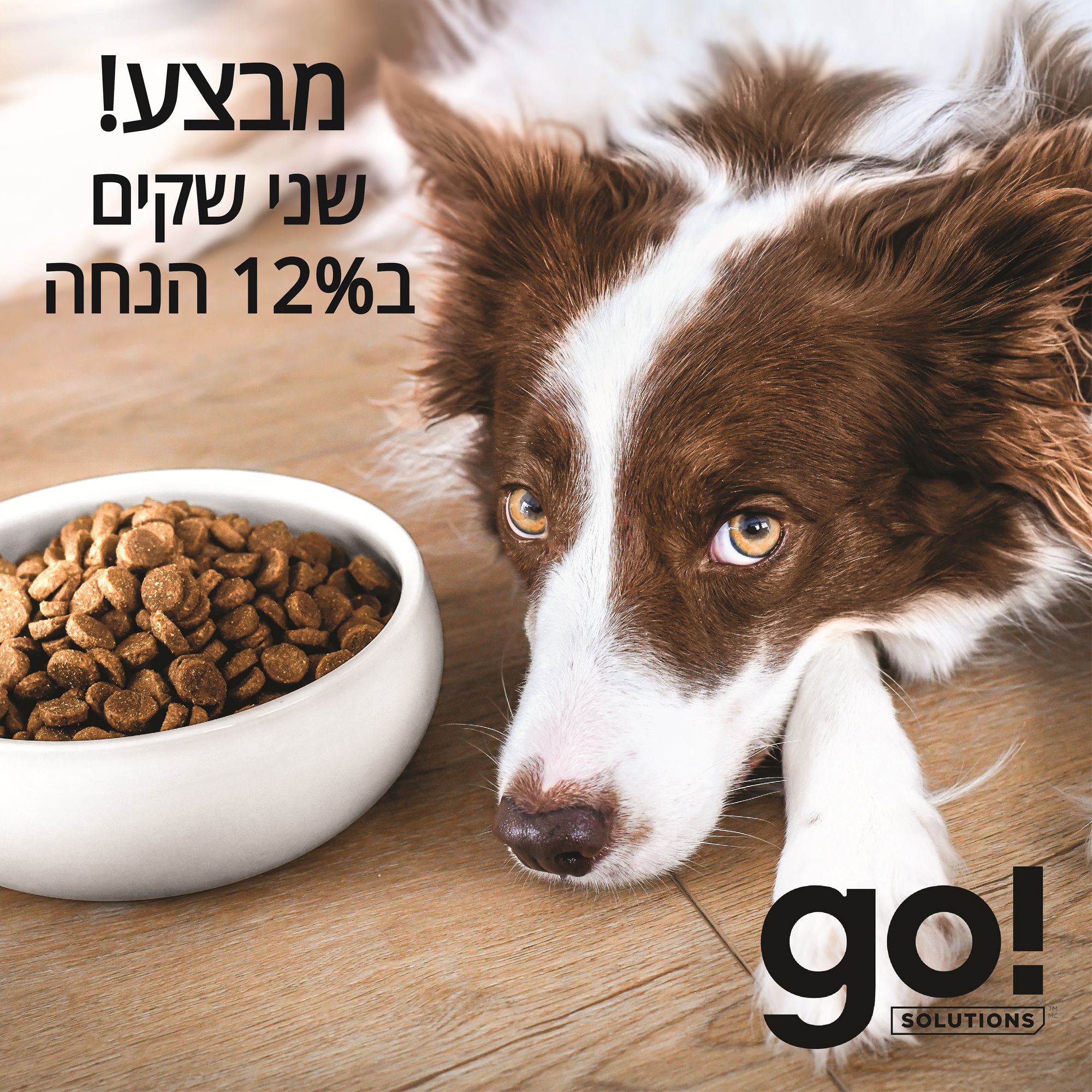 מבצע! 2 שקי גו! לכלב ב-12% הנחה 