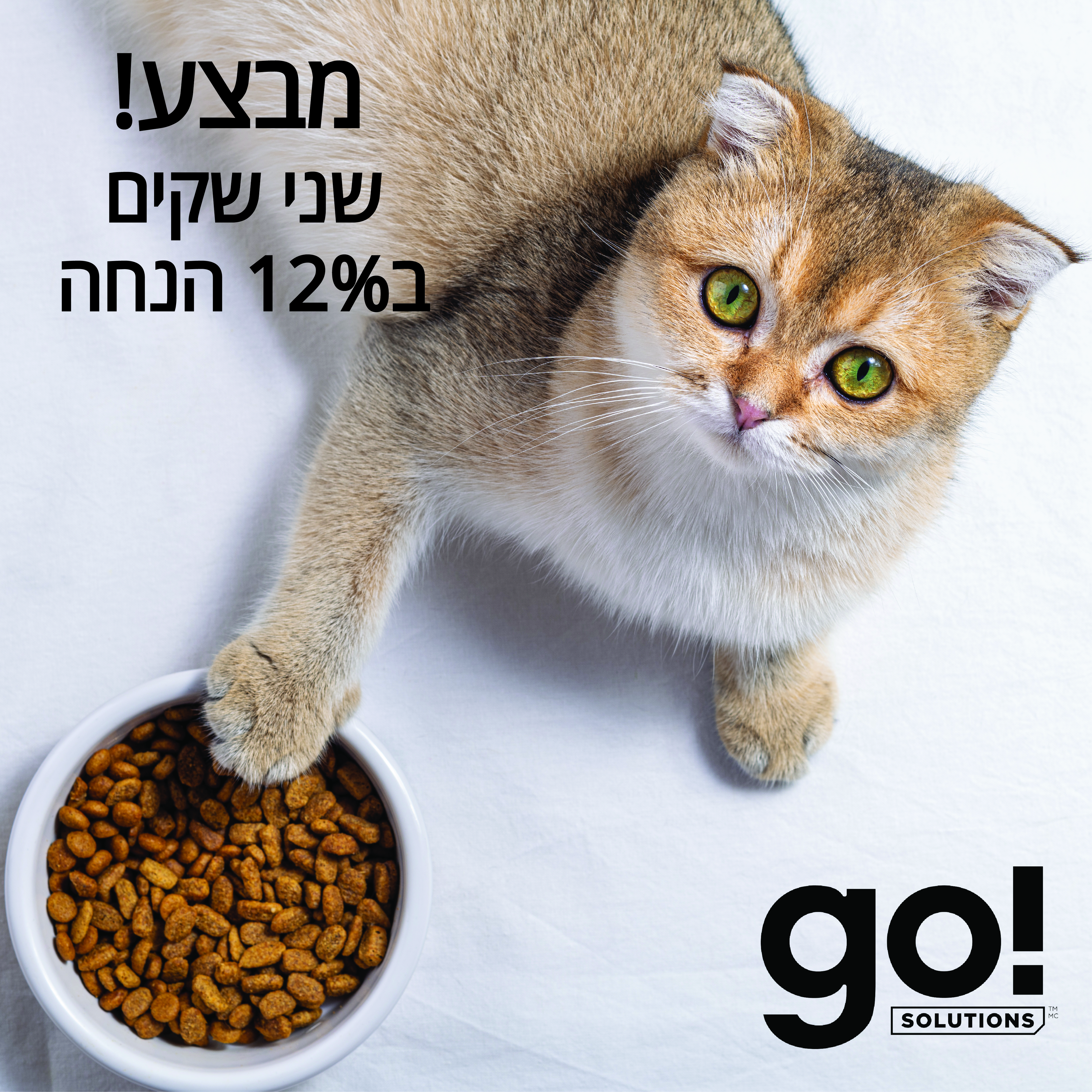מבצע! 2 שקי גו! לחתול ב-12% הנחה 