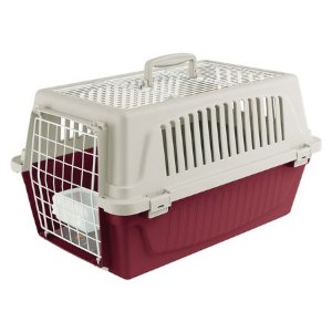 מנשאים וכלובים לחתולים