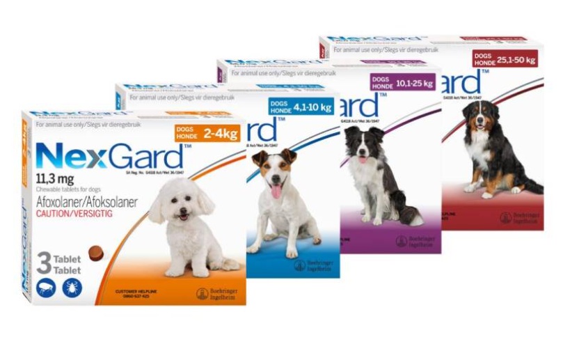 נקסגארד לכלב 