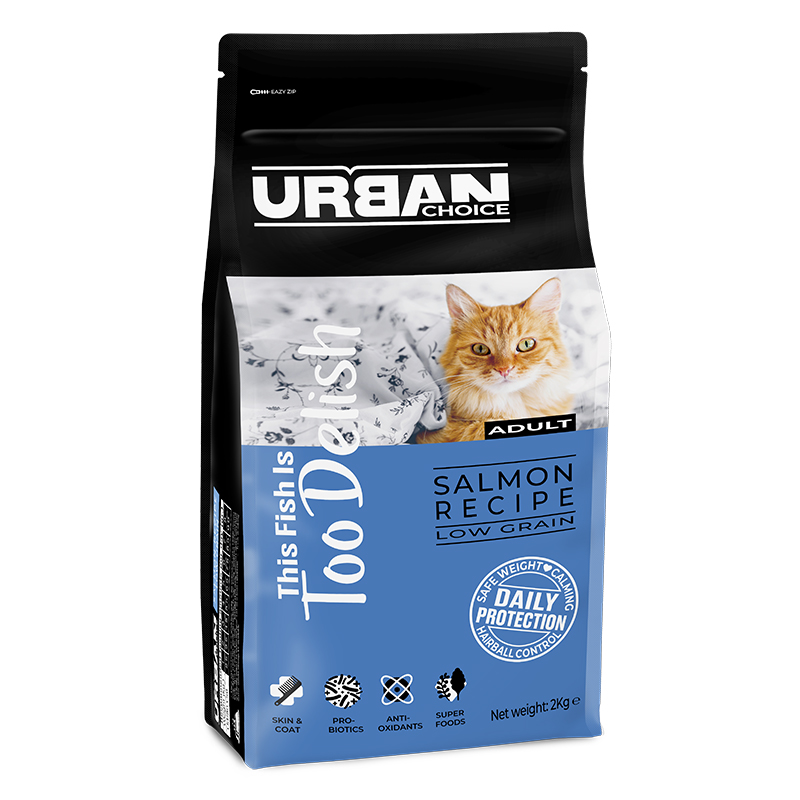 אורבן צ'ויס חתול בוגר סלמון