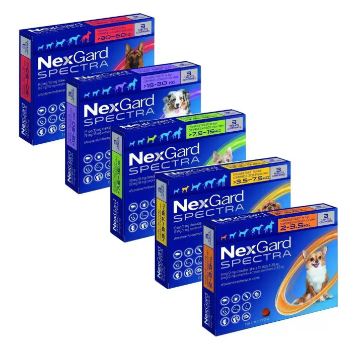 נקסגארד ספקטרה לכלב