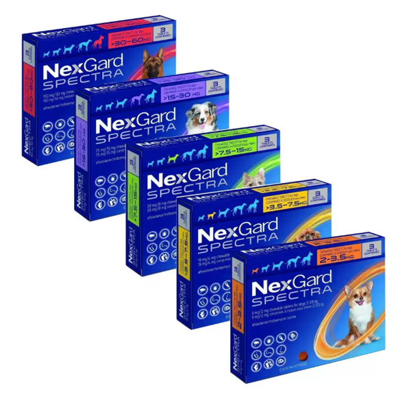 NexGard נקסגארד ספקטרה - טיפול בפרעושים וקרציות לכלבים