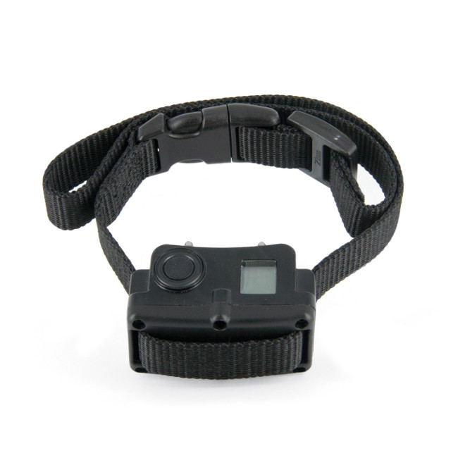 ציוד אילוף ומשמעת לכלבים