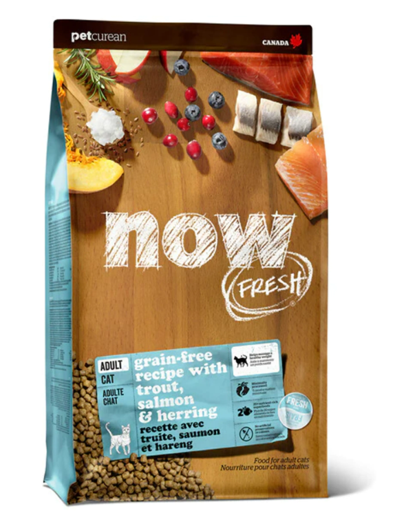 אוכל לחתולים