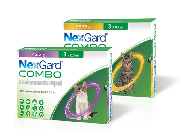 נקסגארד קומבו לחתול