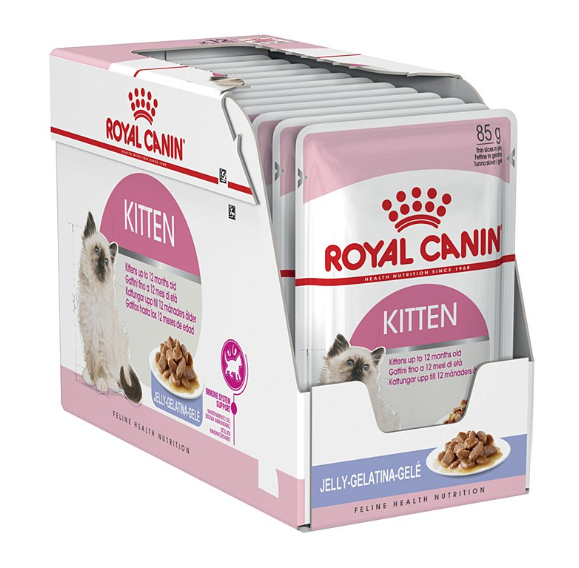 מארז 12 יחידות רויאל קנין פאוץ' לחתול קיטן ג'לי