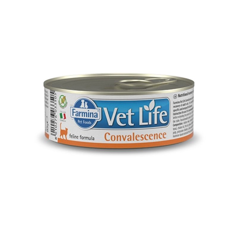 וט לייף מגש שימורים לחתול קונבלשנס 