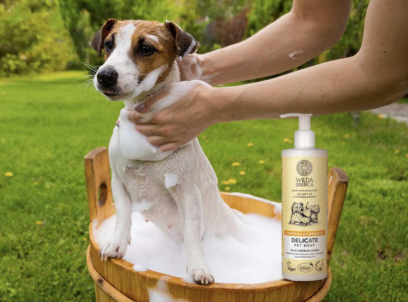 שמפו עדין אורגני ווילדה סיביריקה לכלבים וחתולים – מתאימים גם לגורים, צילום המחשה בעת שימוש