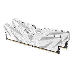 זכרון לנייח NETAC Shadow II DDR5 6000Mhz 32GB 2x16GB C38 WHITE