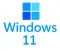 win11 