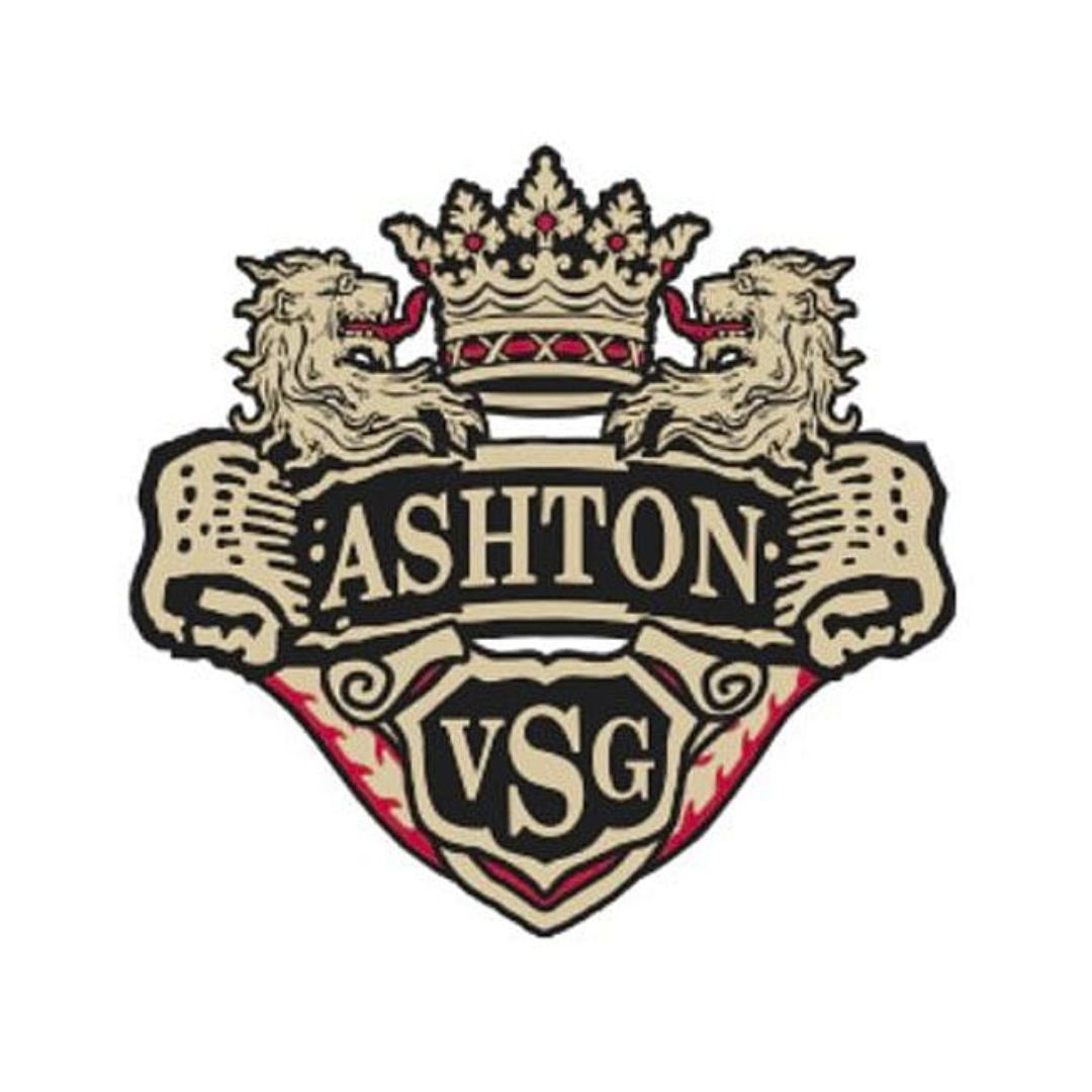 אשתון VSG