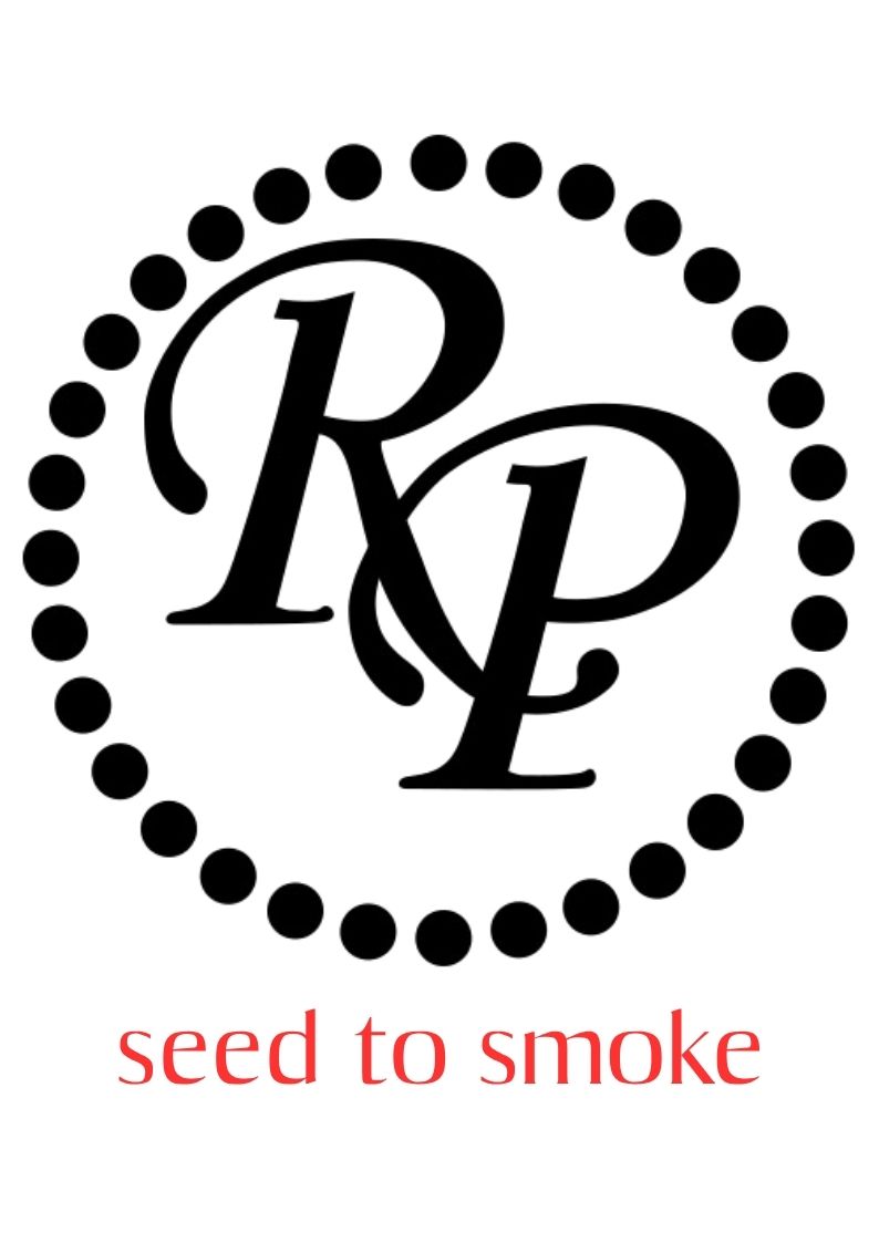 רוקי פטל- סיד טו סמוק שייד (אדום)