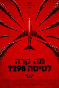 מה קרה לטיסה 298?