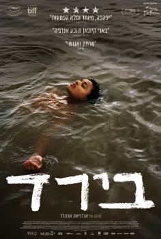 בירד