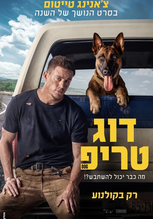 פוסטר