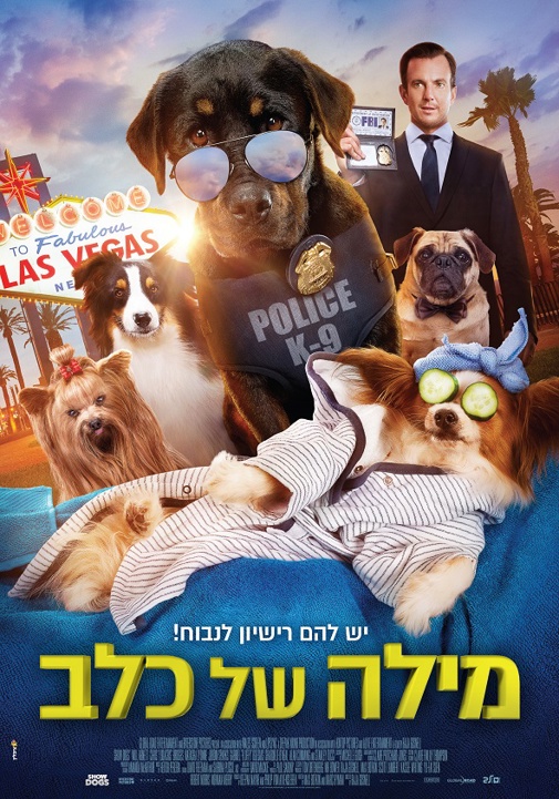 פוסטר
