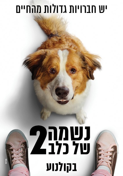 פוסטר