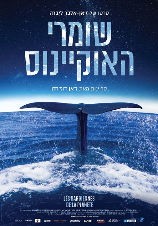 פוסטר