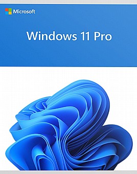 מערכת הפעלה WIN 11 Professional 64BIT HEB