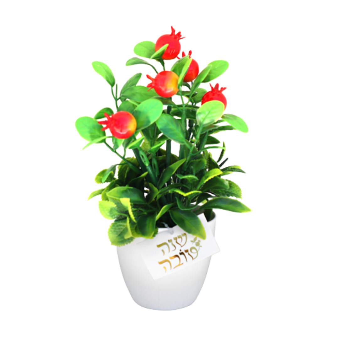 עציץ רימונים +כרטיס שנה טובה 15 ס"מ