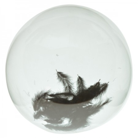 בלון שקוף מילוי נוצות - שחור