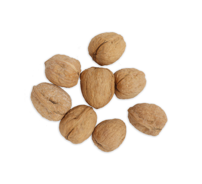 שק אגוזים לקישוט 12 יח' לפסח - טבעי