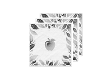 מפיות נייר ראש השנה תפוח 16 יח' - כסף