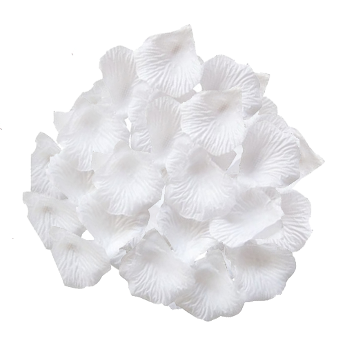 עלי כותרת לפיזור מבד 10 גרם - לבן