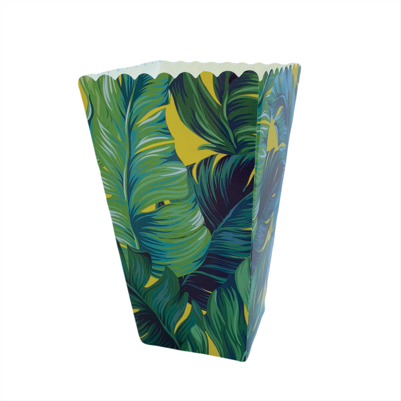 קופסת פופקורן וחטיפים  - טרופי