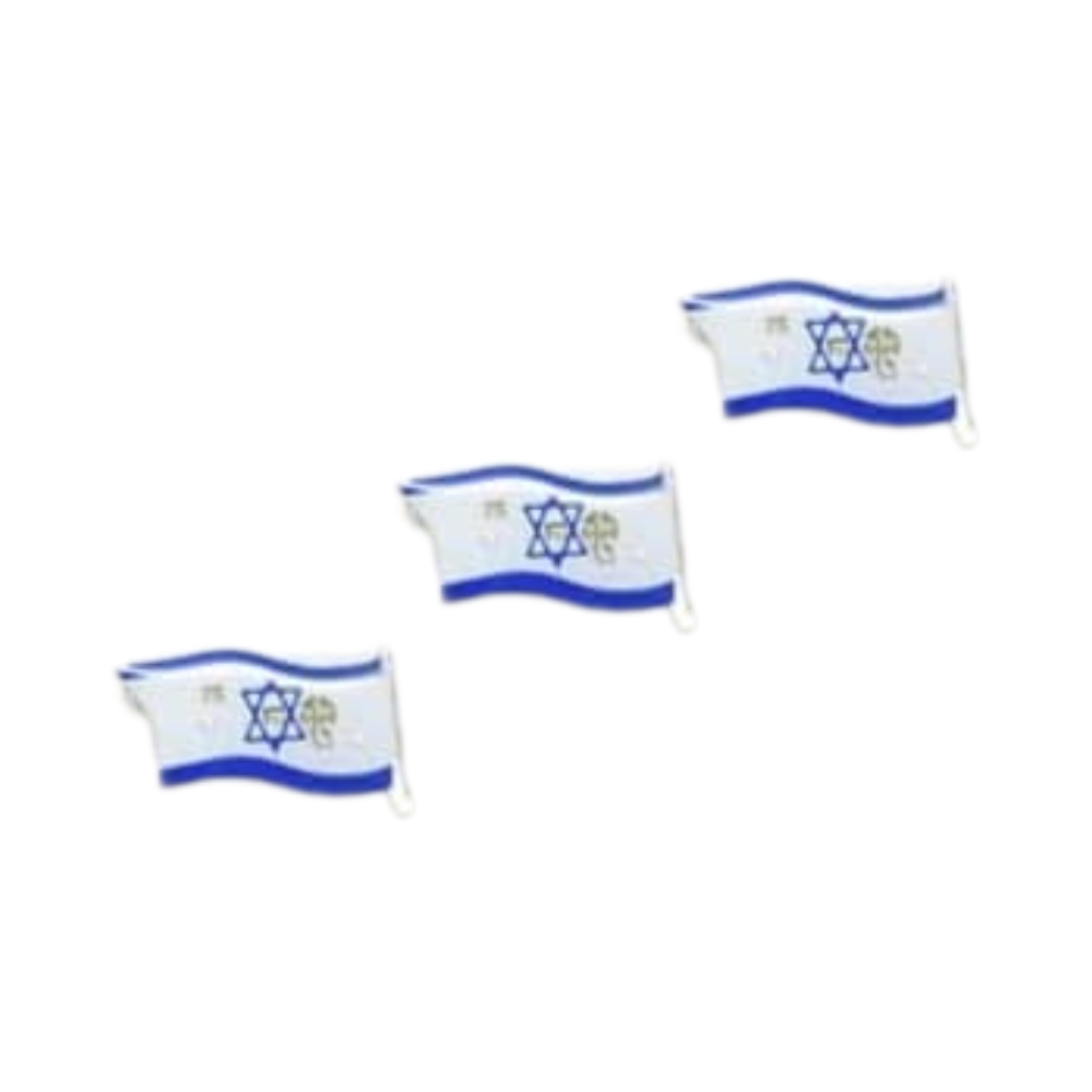 סיכת דש דגל ישראל