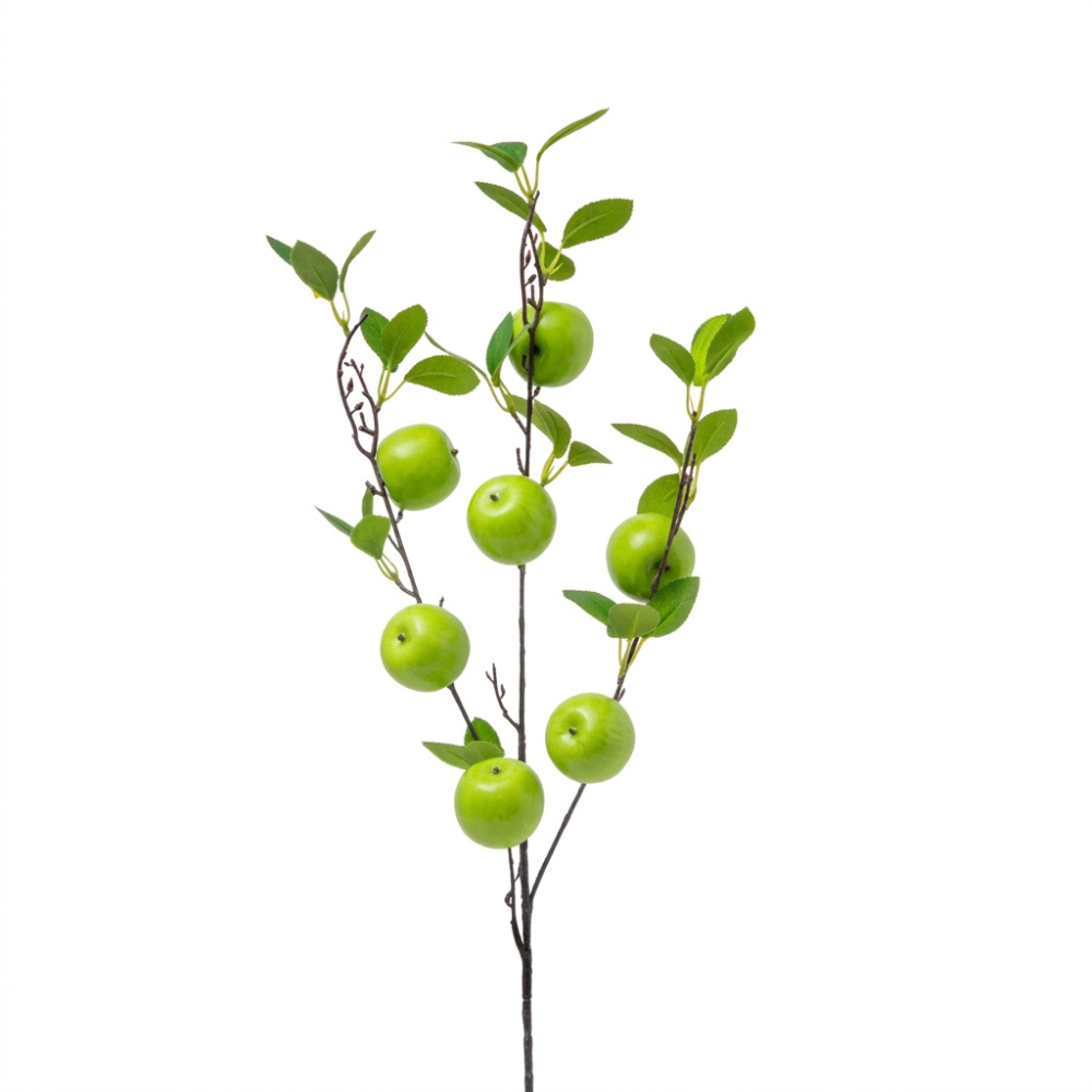 ענף תפוח ירוק דקורטיבי