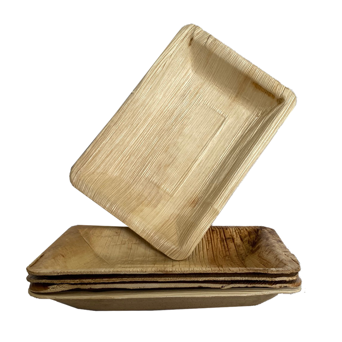 צלחת מלבנית עלי דקל 10 יח' - גדול