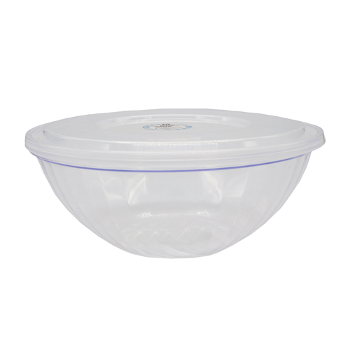 קערת פלסטיק פסים גדול+מכסה - שקוף