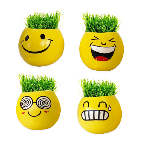 ראש דשא קרמי סמיילי קטן - דגם משתנה