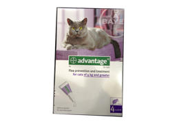 אדוונטג' תכשיר למניעת פרעושים בחתולים 4 ק"ג עד 8 ק"ג