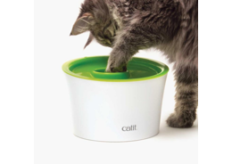 קאטאיט כלי האכלה משולב לחתול