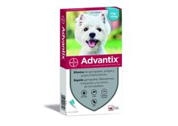 אדוונטיקס טיפות למניעת פרעושים וקרציות לכלבים 4 ק"ג עד 10 ק"ג
