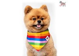 בנדנה פלוקי קטנה מעוצבת לכלב – צבעי הגאווה 