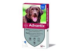 אדוונטיקס טיפות למניעת פרעושים וקרציות לכלבים מעל 25 ק"ג